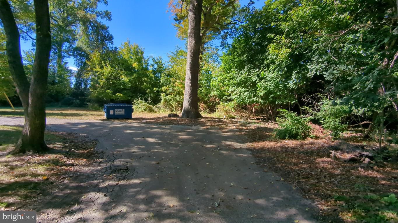 900 Main Street Brookhaven, PA 19015 - Photo 14 of 42 a view of outdoor space with trees
