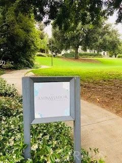 a view of a park with large trees