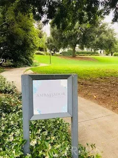 a view of a park with large trees