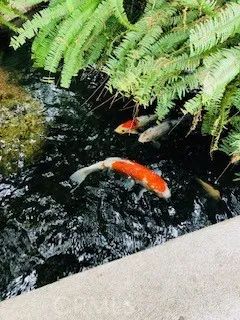 a view of outdoor space and street view