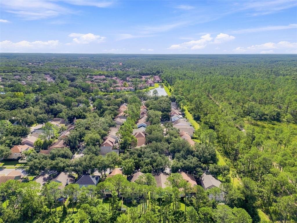 17708 Long Ridge Road Tampa, FL 33647 - Photo 67 of 100 Gallery Image 67