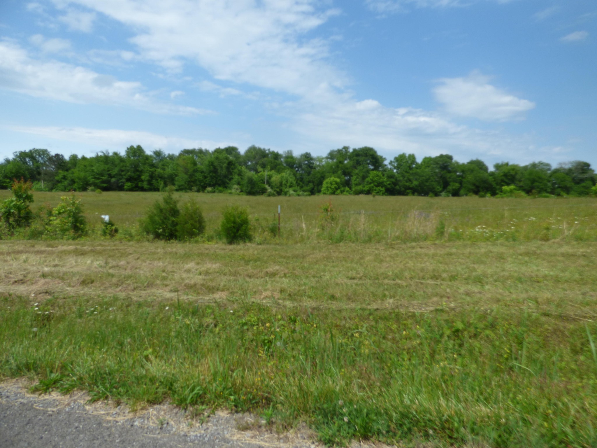 36 Lakescene Road Kingston, TN 37763 - Photo 3 of 23 Gallery Image 3
