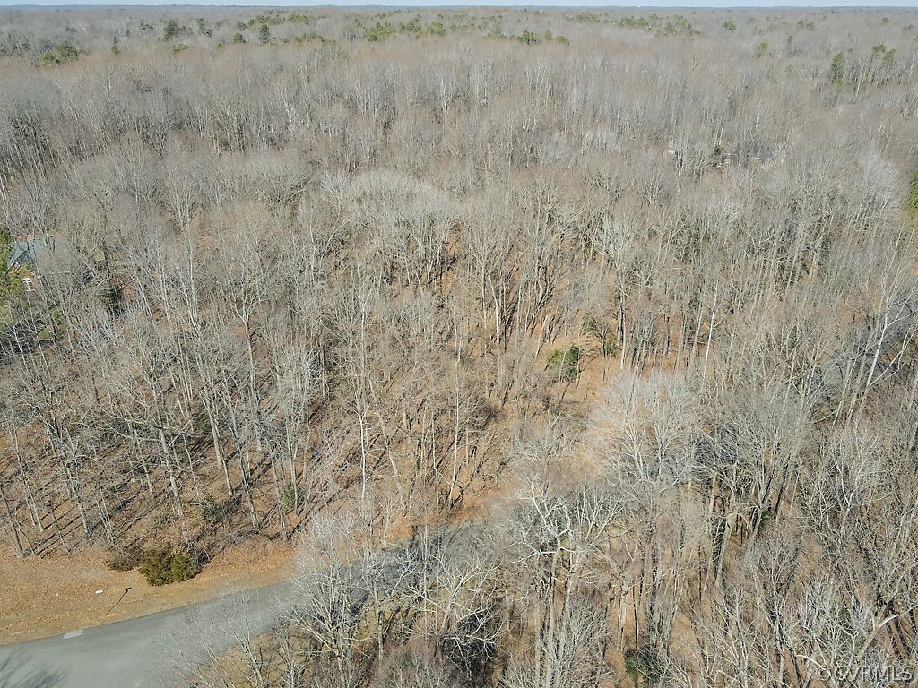 620 Cross Ridge Lane Manakin-Sabot, VA 23103 - Photo 13 of 17 a view of a dry yard