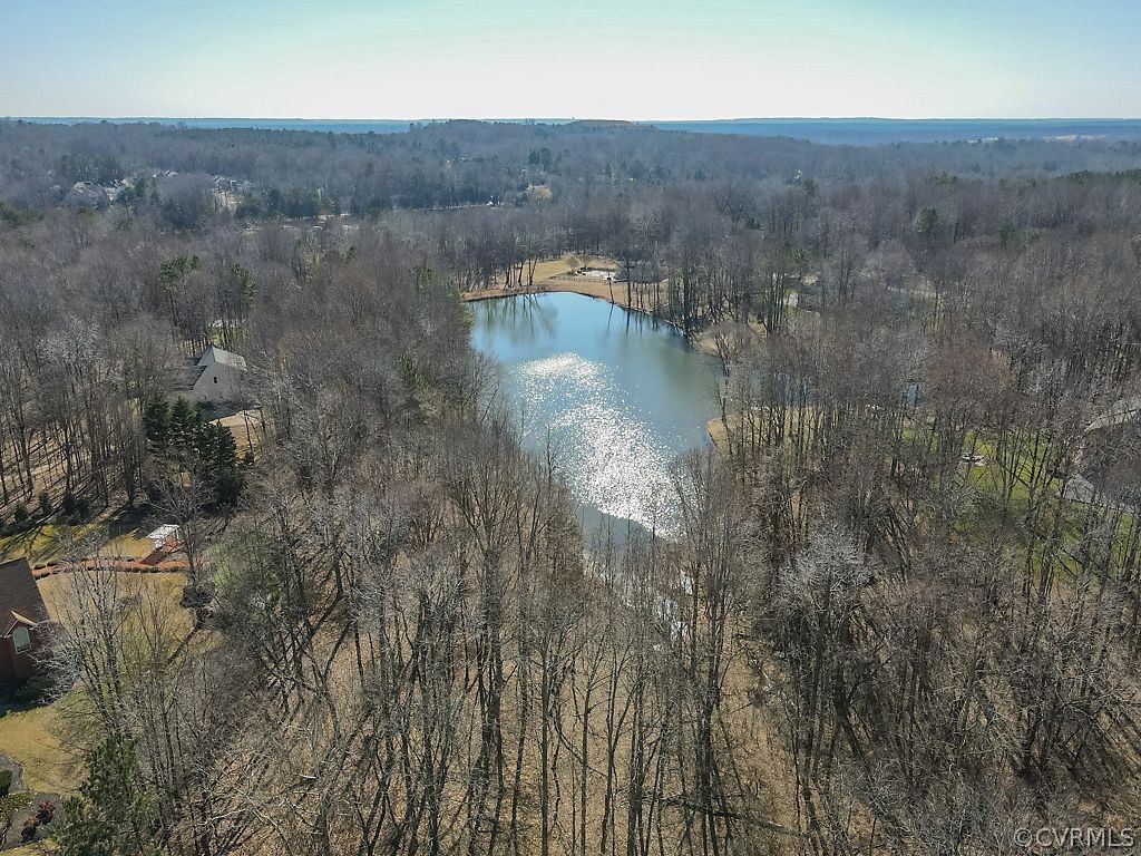 620 Cross Ridge Lane Manakin-Sabot, VA 23103 - Photo 14 of 17 a view of a lake in middle of the town