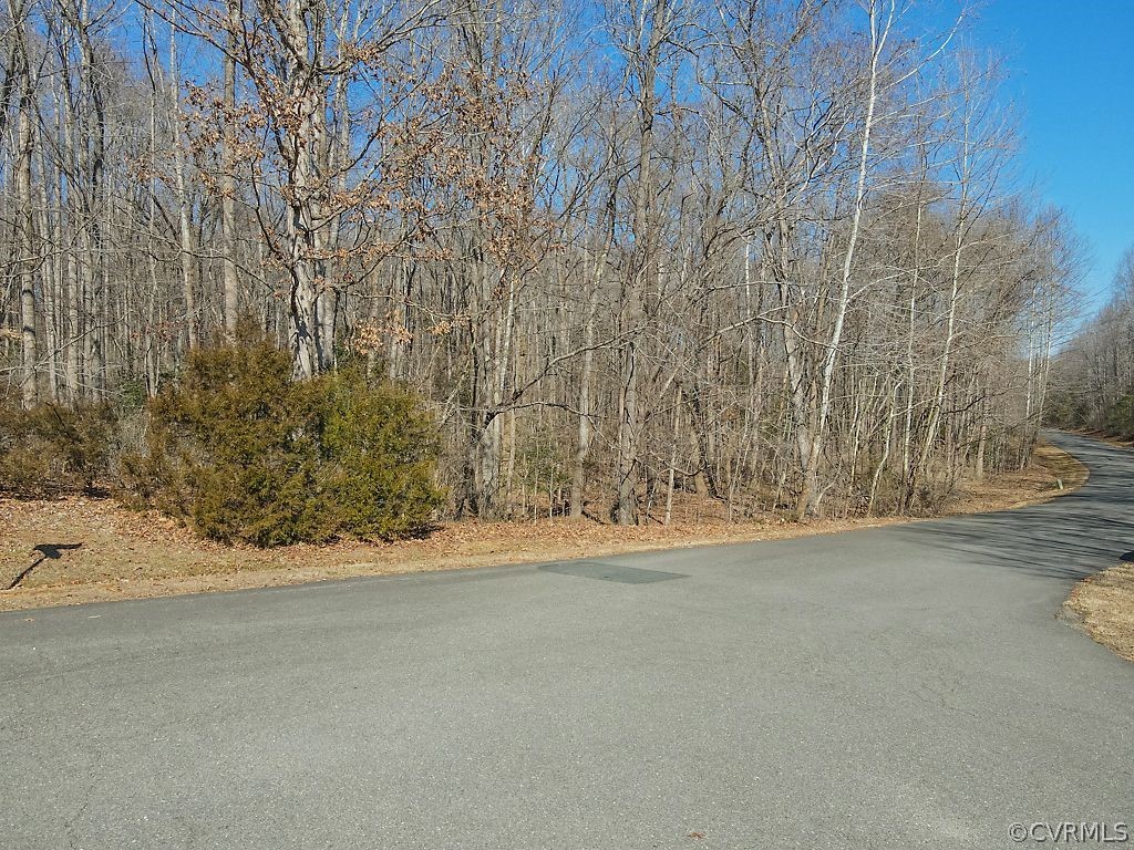 620 Cross Ridge Lane Manakin-Sabot, VA 23103 - Photo 2 of 17