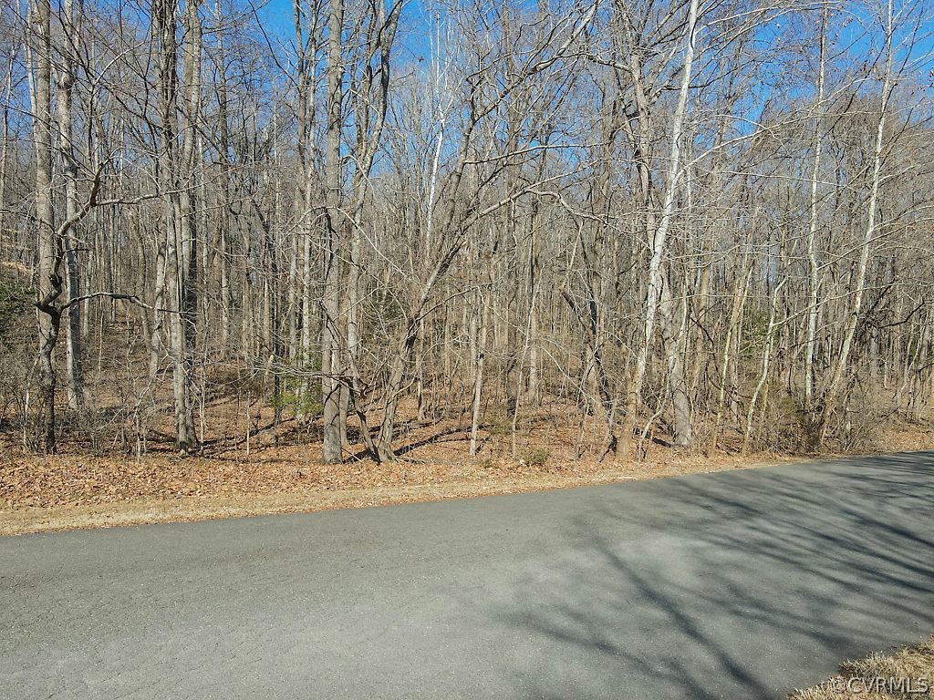 620 Cross Ridge Lane Manakin-Sabot, VA 23103 - Photo 3 of 17 a view of wooden fence and trees