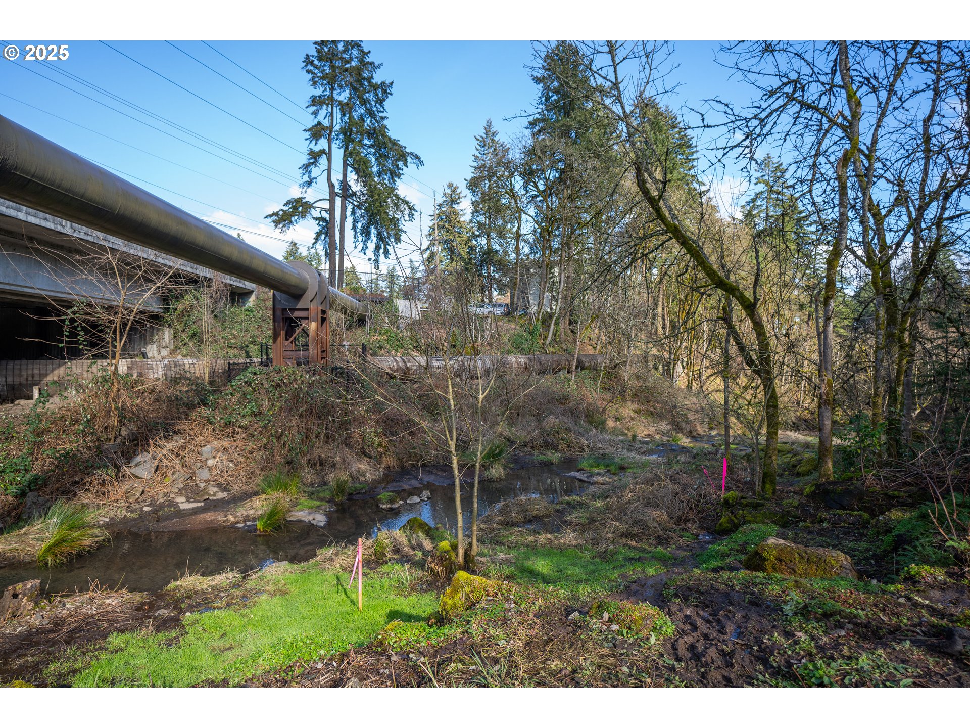 719 Maple Street Lake Oswego, OR 97034 - Photo 16 of 37