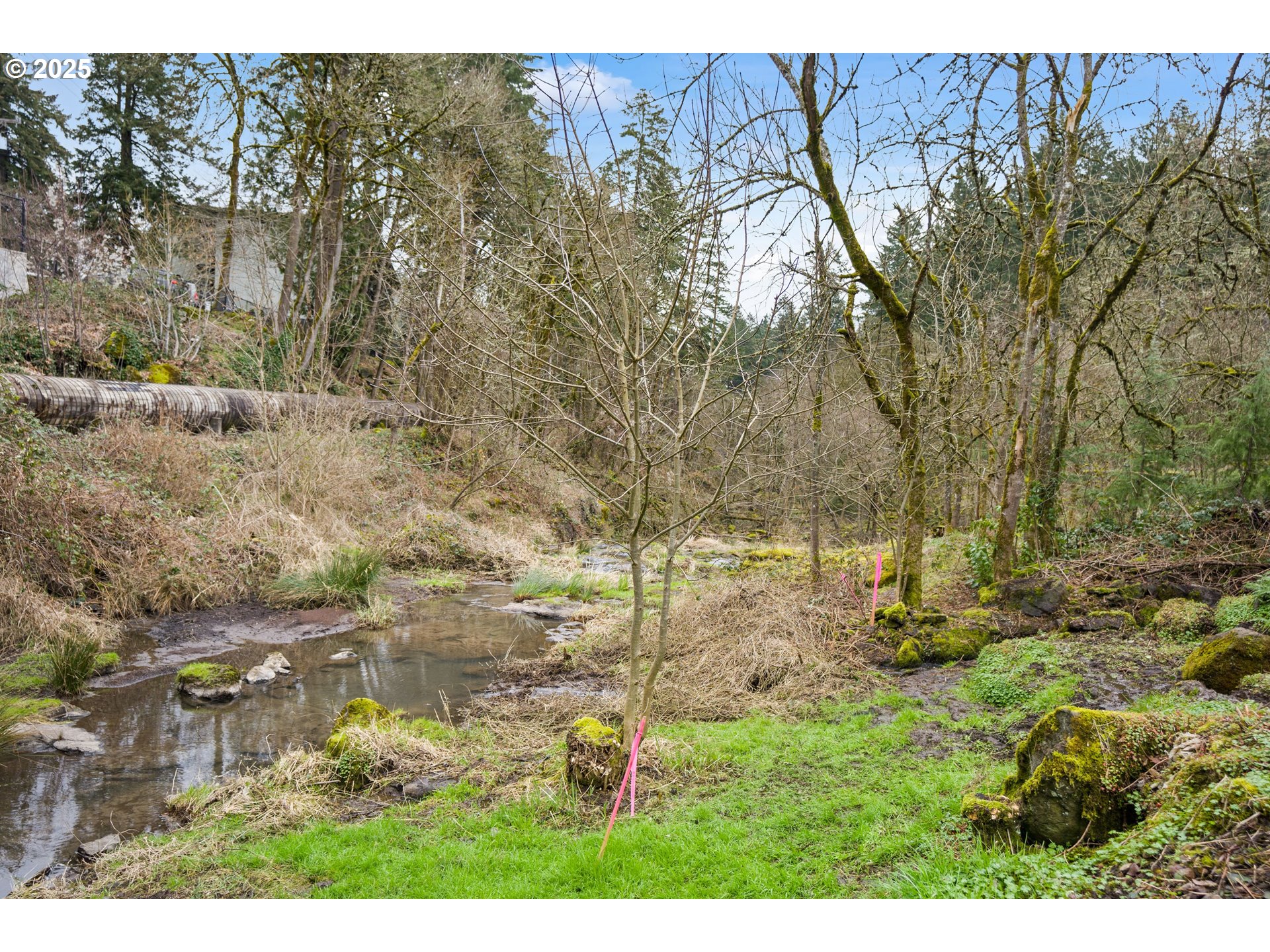 719 Maple Street Lake Oswego, OR 97034 - Photo 9 of 37