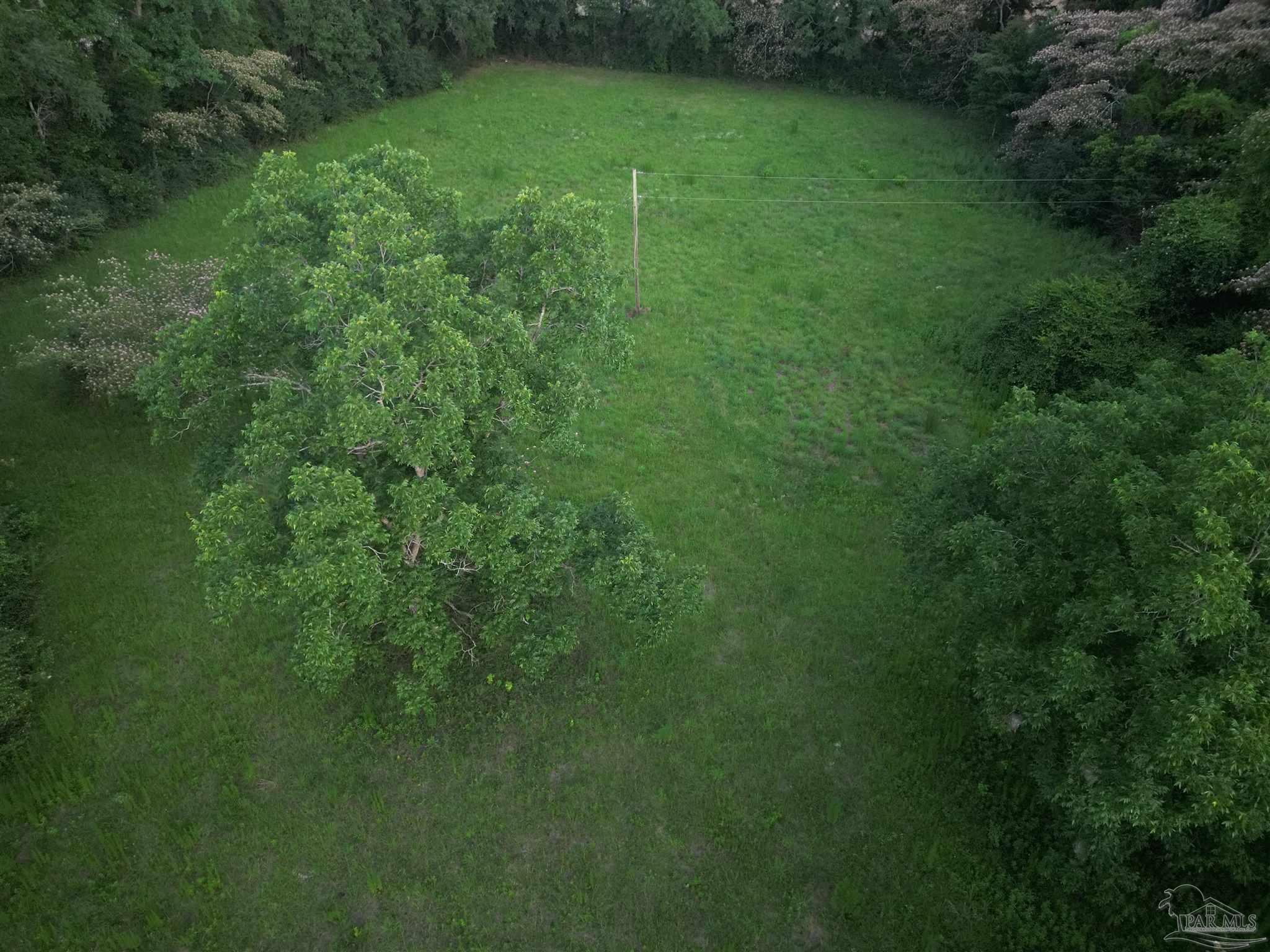 6701 Camp Henderson Road Jay, FL 32565 - Photo 11 of 13