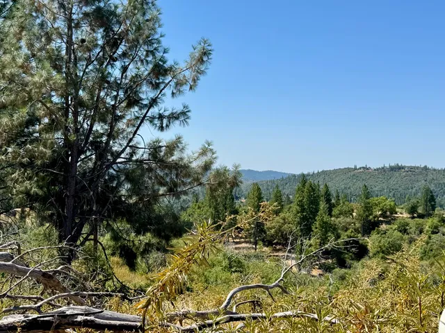 $249,000 | 9055 Rodesino Road, Mountain Ranch, CA 95246