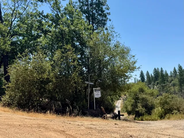 a view of a house with a tree