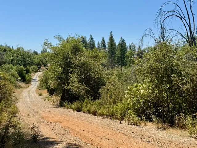 a view of a yard covered with snow in front of house