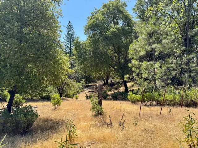 a view of a yard with a tree