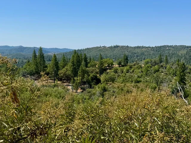 a view of a city with lush green forest