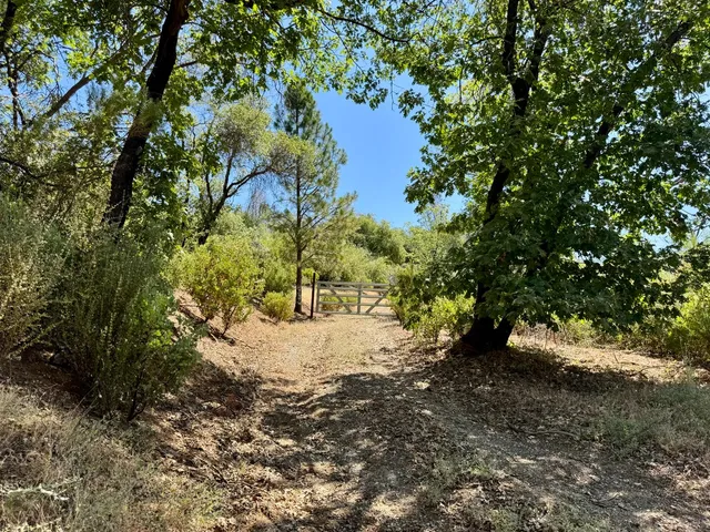 a view of outdoor space and trees