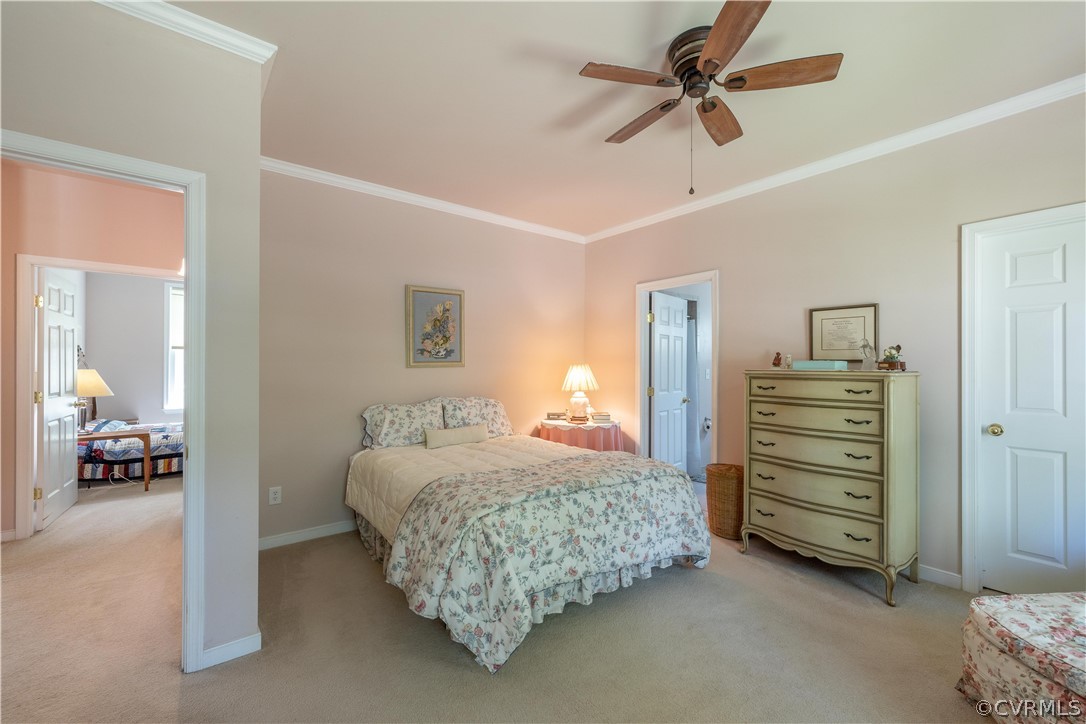 22401 Pinewood Road Williamsburg, VA 23185 - Photo 14 of 31 Gallery Image 14