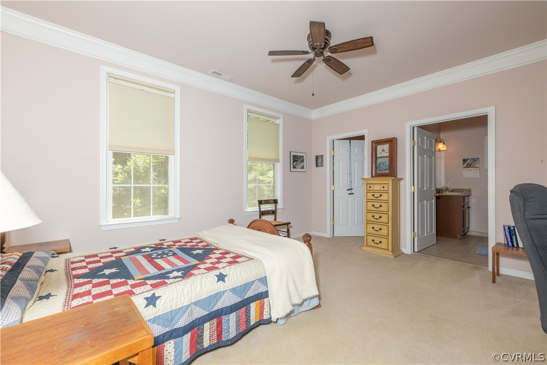22401 Pinewood Road Williamsburg, VA 23185 - Photo 16 of 31 Gallery Image 16