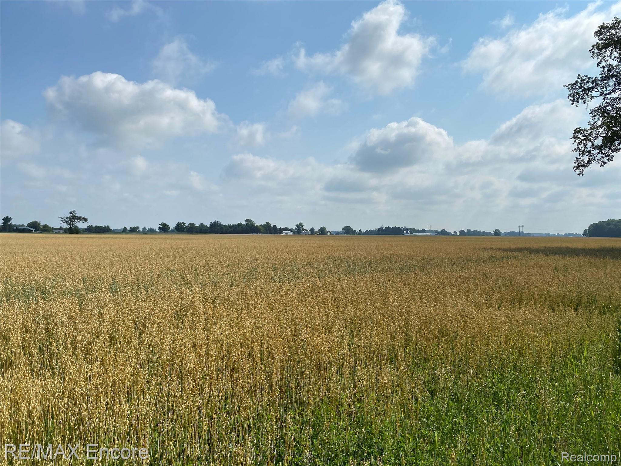 7740 Cram Road Owosso, MI 48867 - Photo 30 of 30 Wide open spaces
