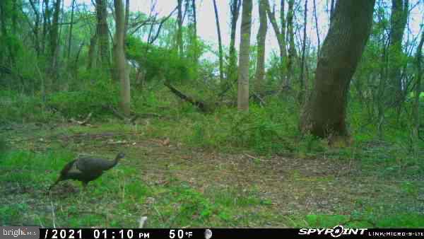 3680 Love Road Darlington, MD 21034 - Photo 1 of 5 Gallery Image 1