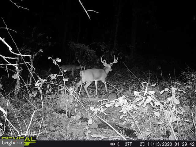 3680 Love Road Darlington, MD 21034 - Photo 2 of 5 Gallery Image 2