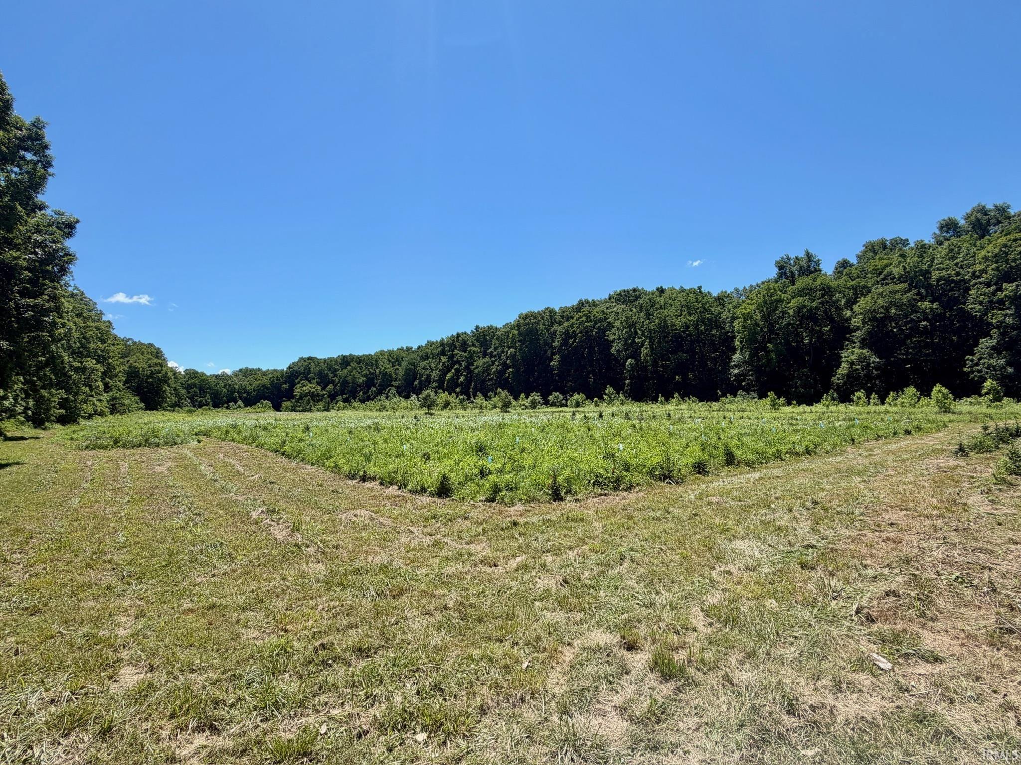 Tbd Newark Road Solsberry, IN 47459 - Photo 2 of 28