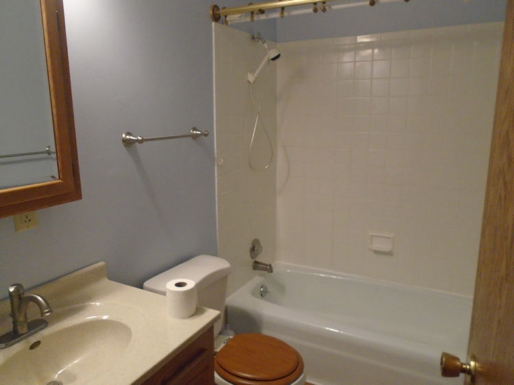 202 Linder Lane Rochelle, IL 61068 - Photo 11 of 17 a bathroom with a sink toilet and shower