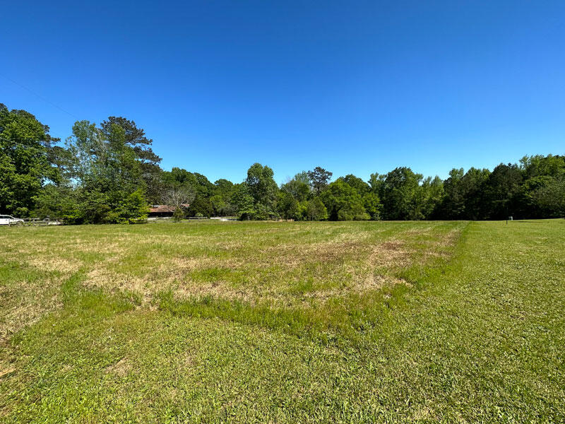 969 Halali Farm Road Evans, GA 30809 - Photo 3 of 8 2 acres open pasture.