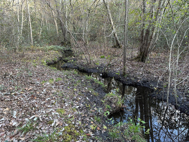 969 Halali Farm Road Evans, GA 30809 - Photo 6 of 8 Small stream.