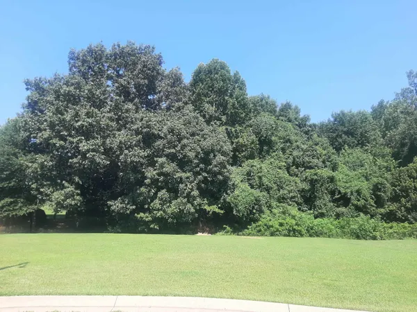 $36,000 | 102 Westwood Cove, Dyersburg, TN 38024