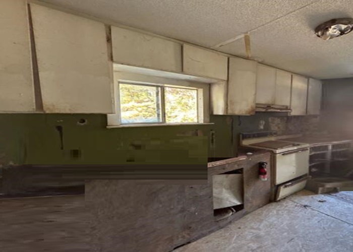 1503 Old Douglas Mill Road Abbeville, SC 29620 - Photo 13 of 15