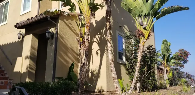 $500 | 2236 Antonio Drive, Unit 20, Chula Vista, CA 91915