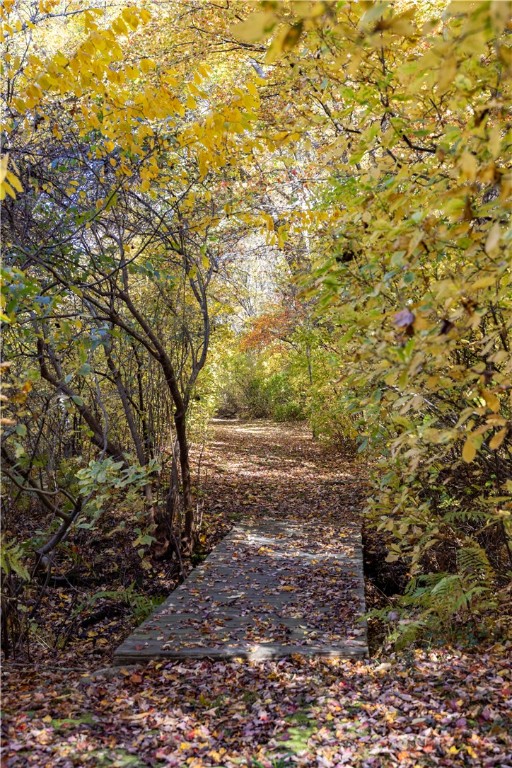 71 Corey Road South Kingstown, RI 02879 - Photo 47 of 50