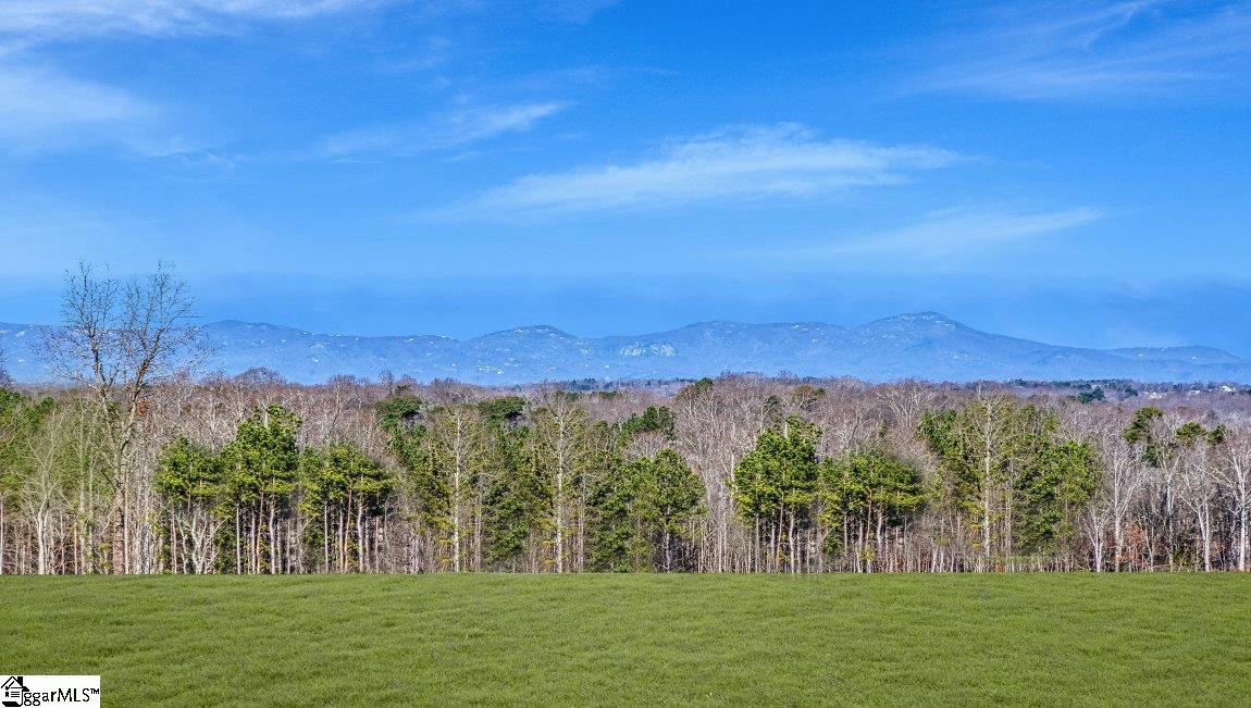 429 Ridge Climb Trail Greer, SC 29651 - Photo 4 of 4 Gallery Image 4