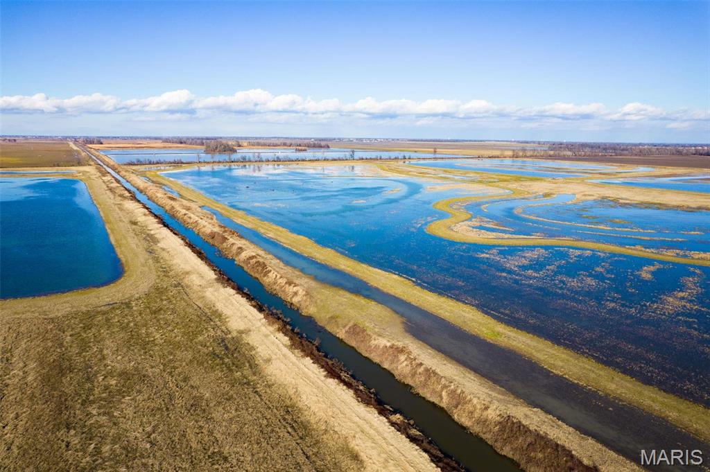 0 County Road 714 Matthews, MO 63867 - Photo 6 of 41