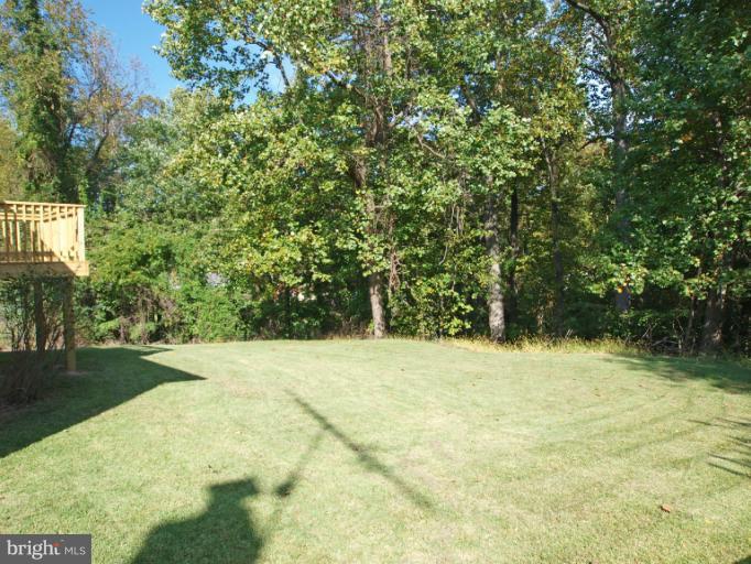 10919 Lombardy Road Silver Spring, MD 20901 - Photo 1 of 24 Backyard View 2
