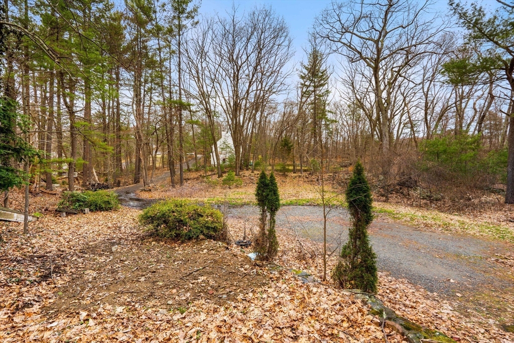 47 Riverside Drive North Reading, MA 01864 - Photo 27 of 34 a view of street with trees