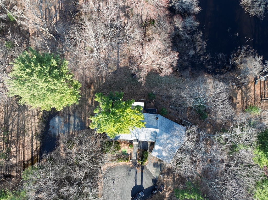 47 Riverside Drive North Reading, MA 01864 - Photo 32 of 34 a plant that is in a garden