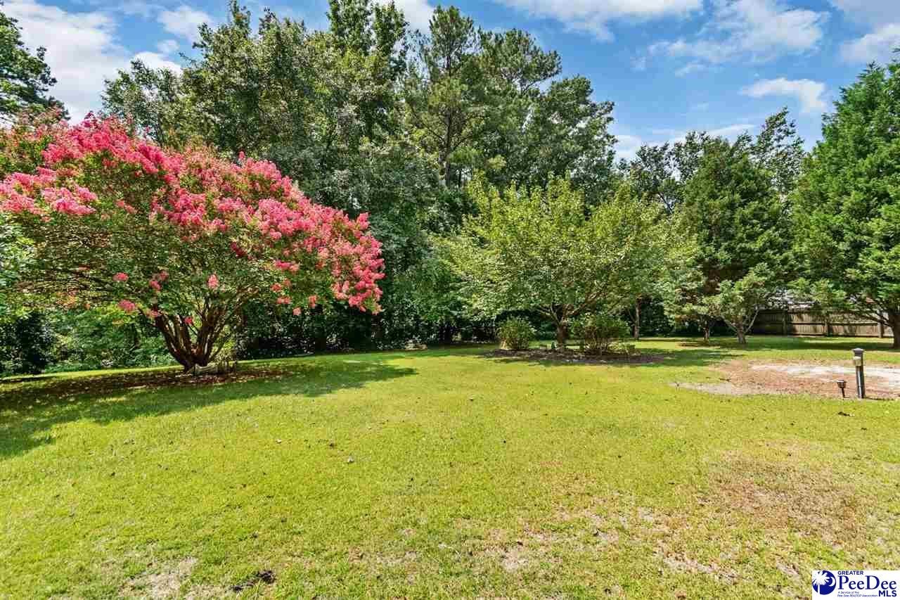 23 McRae Road Cheraw, SC 29520 - Photo 14 of 53 Gallery Image 14