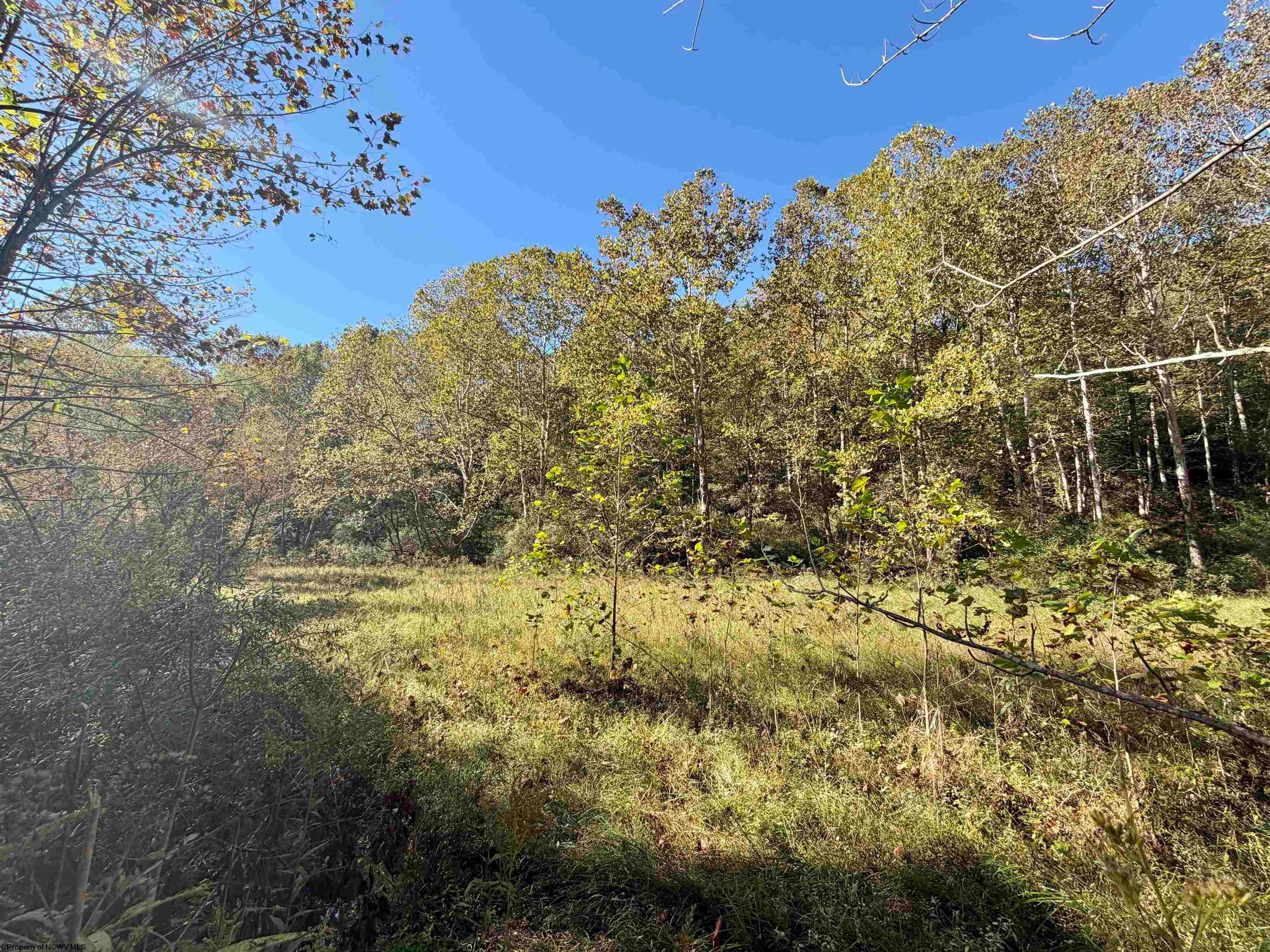 317 Grove Summers Road New Milton, WV 26411 - Photo 2 of 26 Gallery Image 2