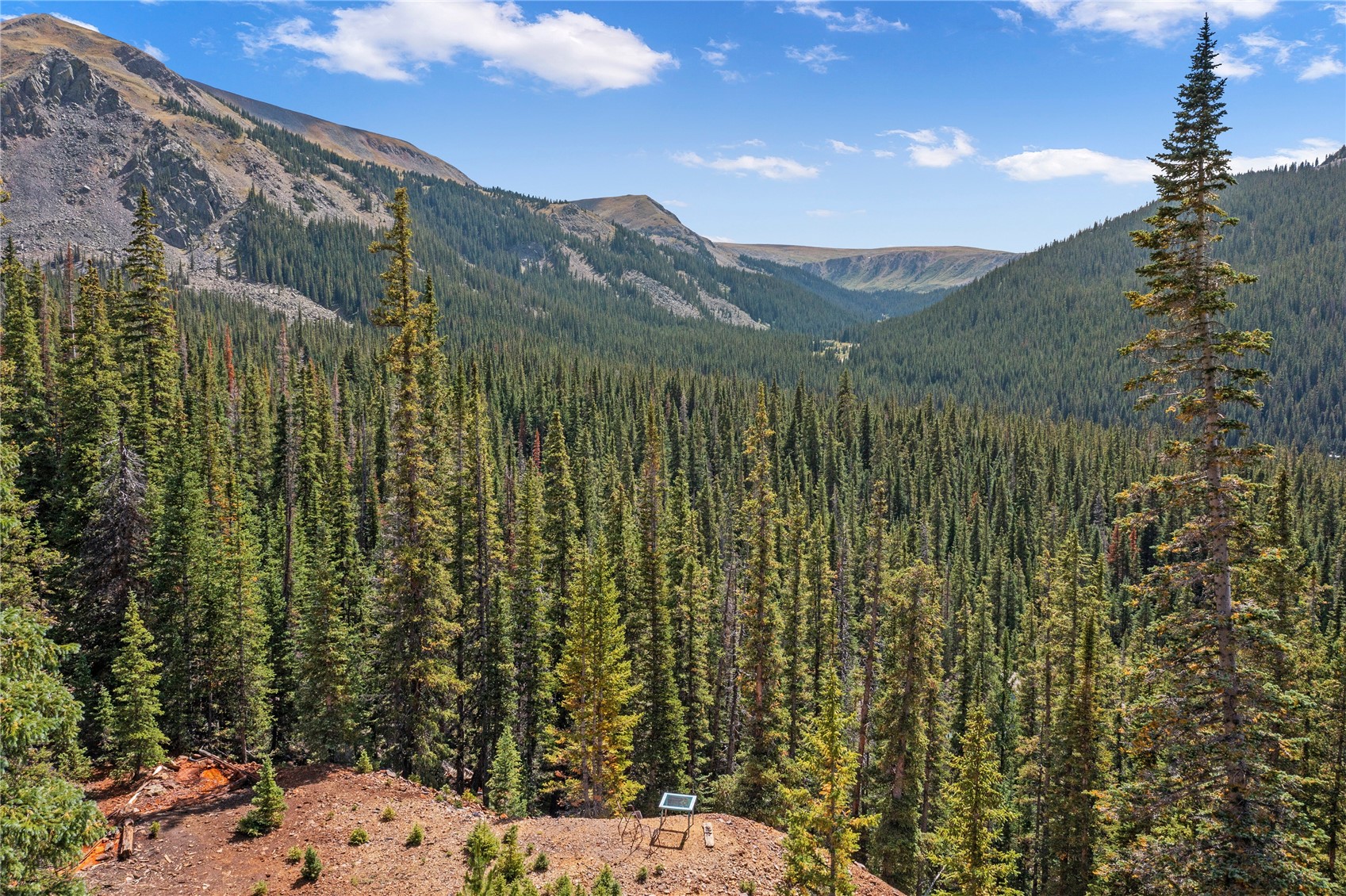 125 Webster Pass Road Dillon, CO 80435 - Photo 4 of 35 Gallery Image 4