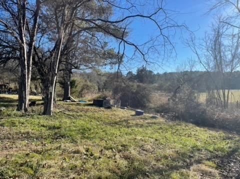 2741 Blacks Bluff Road Southwest Rome, GA 30161 - Photo 1 of 1 a backyard of a house with lots of green space