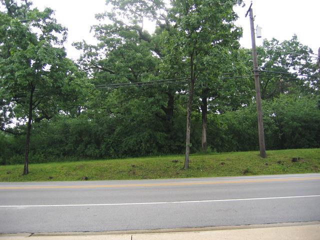 a view of a yard