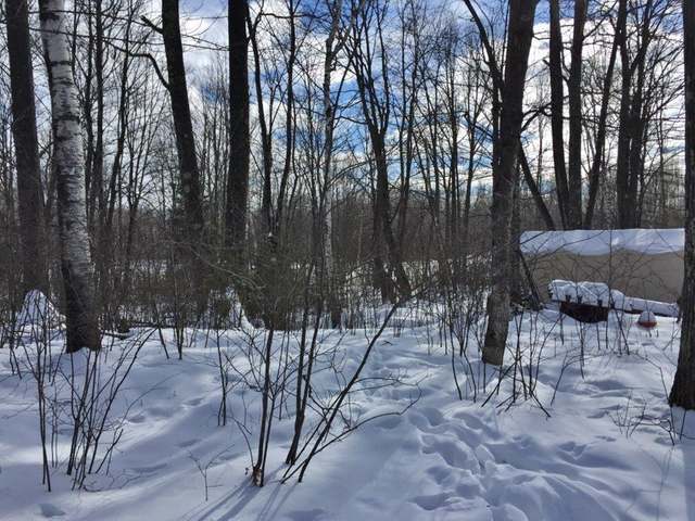 7573 Luber Lane Rhinelander, WI 54501 - Photo 6 of 12 Gallery Image 6