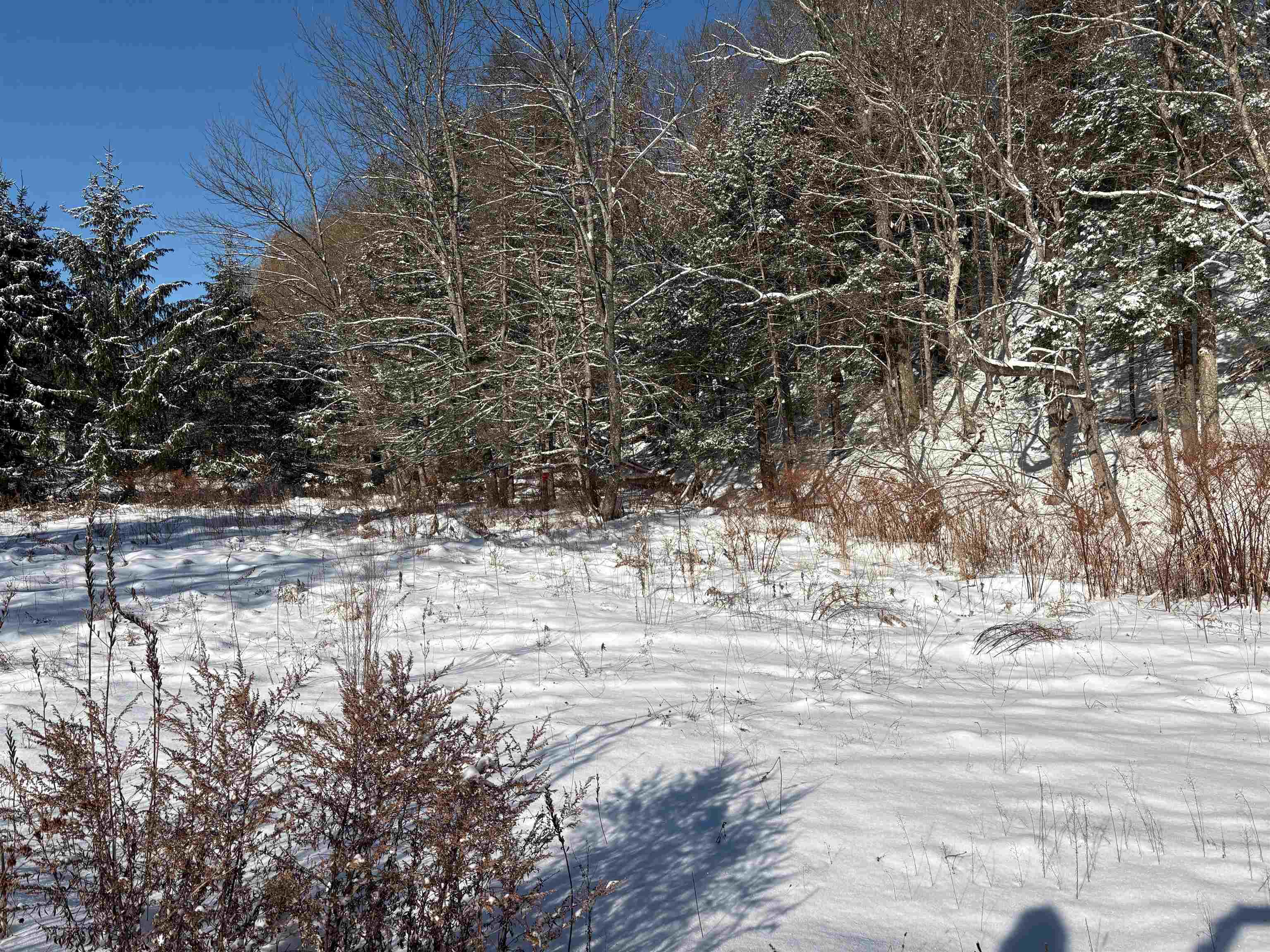 40 Fenton Road Chester, VT 05143 - Photo 33 of 37 Gallery Image 33