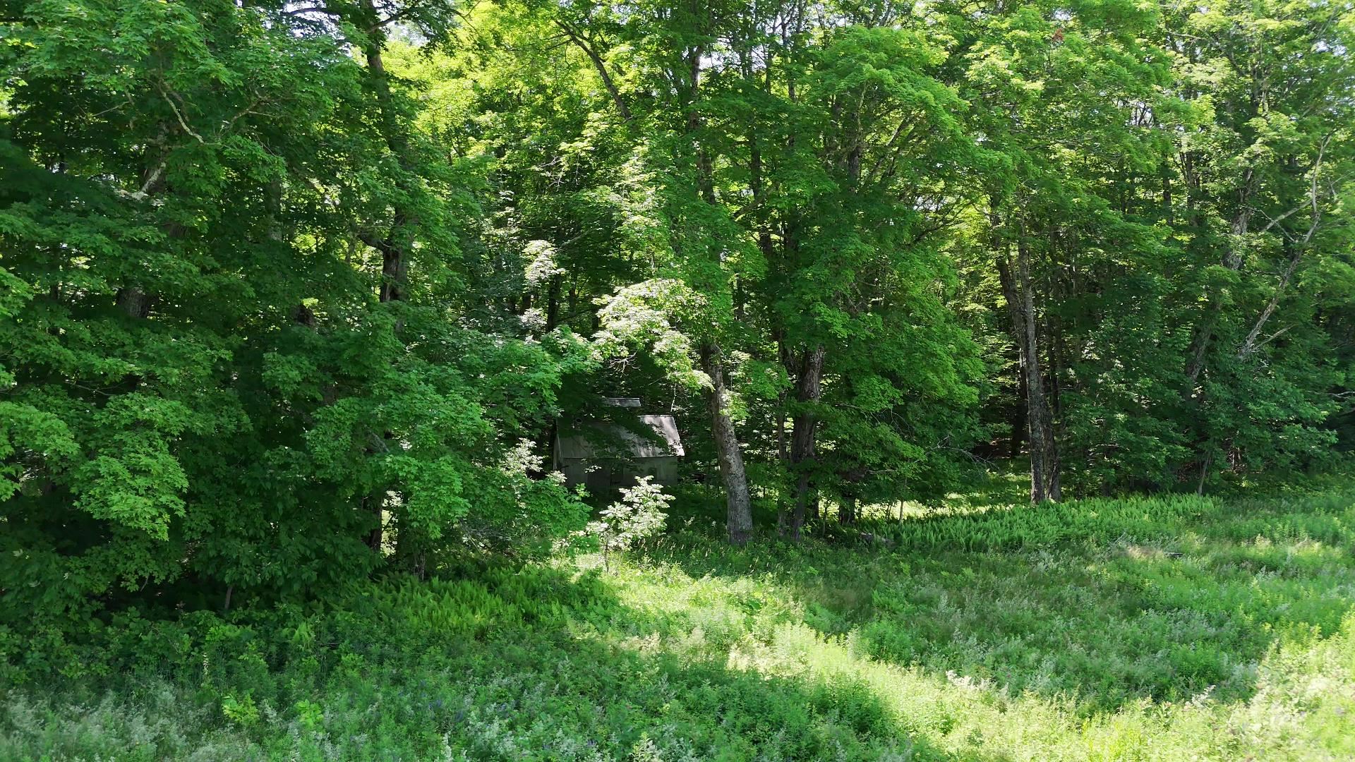0 Old Farm Road West Burke, VT 05871 - Photo 17 of 25