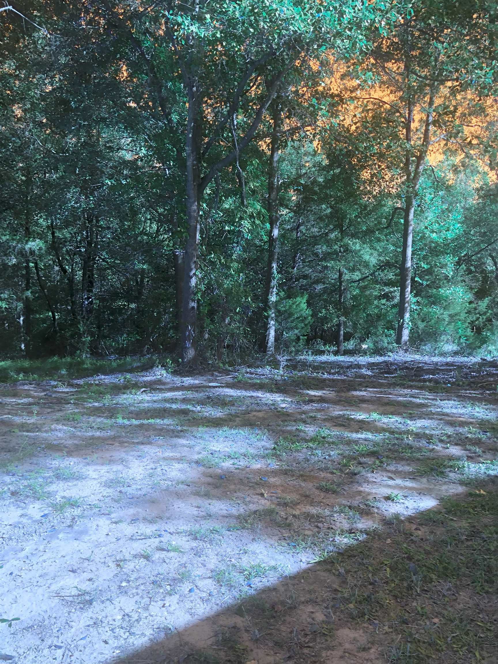 127 Garrett Road Pacolet, SC 29372 - Photo 4 of 17