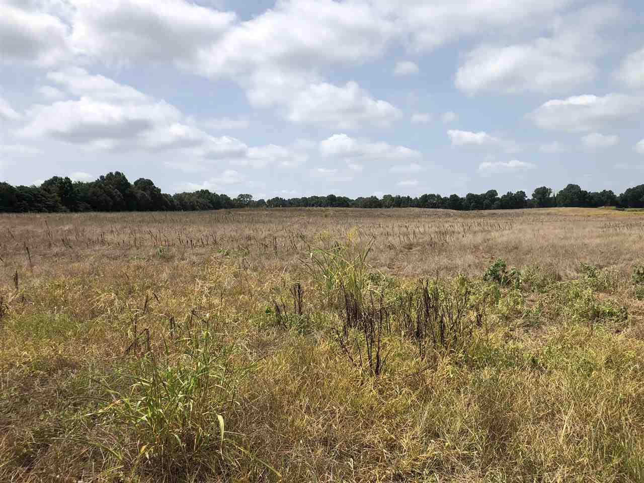 0 Alamo Gadsden Road Gadsden, TN 38337 - Photo 1 of 1 Photo 1