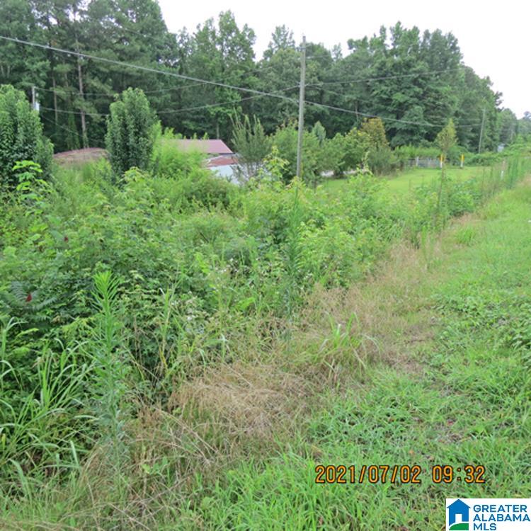 3048 Logan Martin Dam Road Cropwell, AL 35054 - Photo 1 of 2
