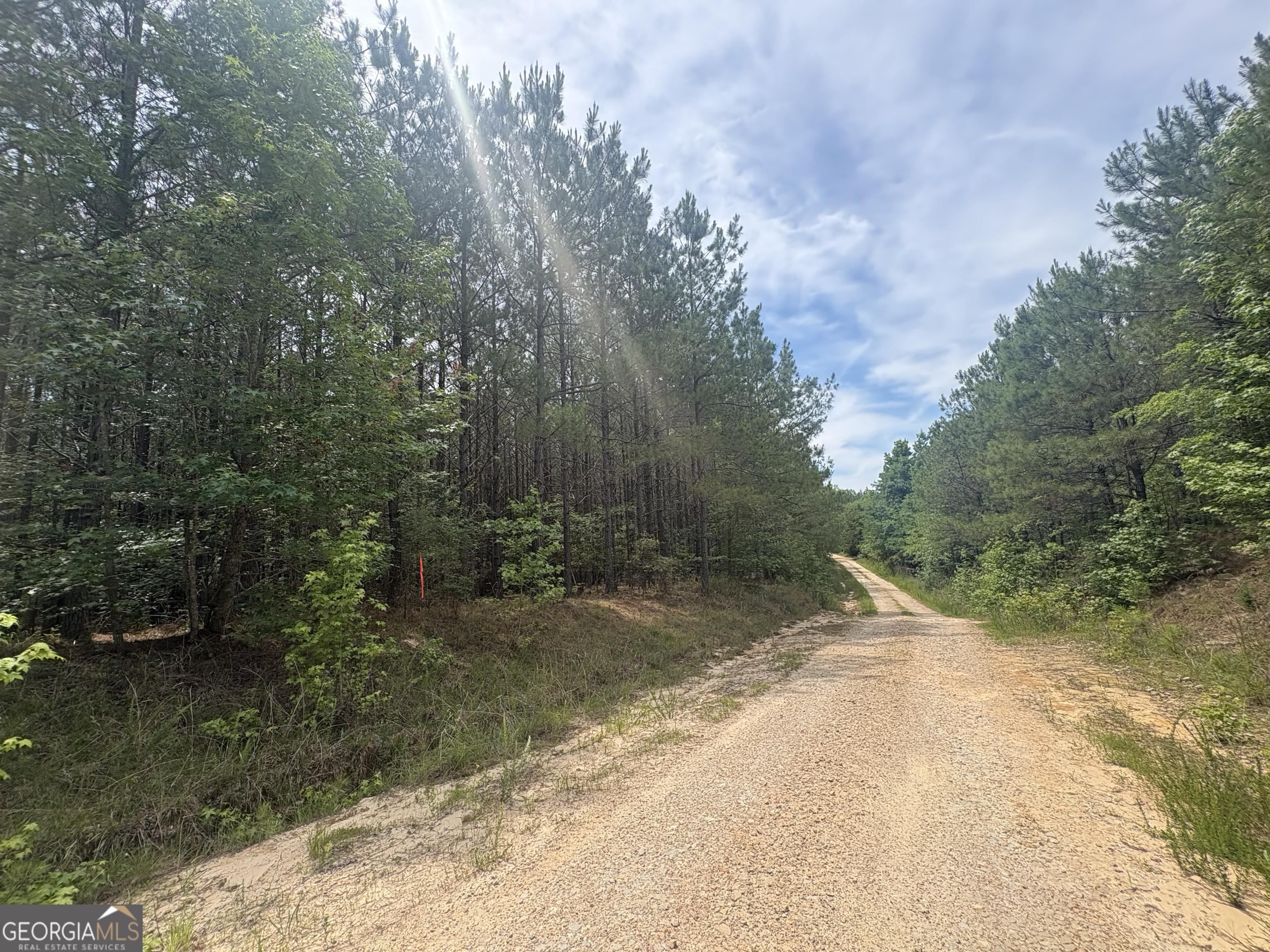 4 Callaway Road Tignall, GA 30668 - Photo 1 of 30