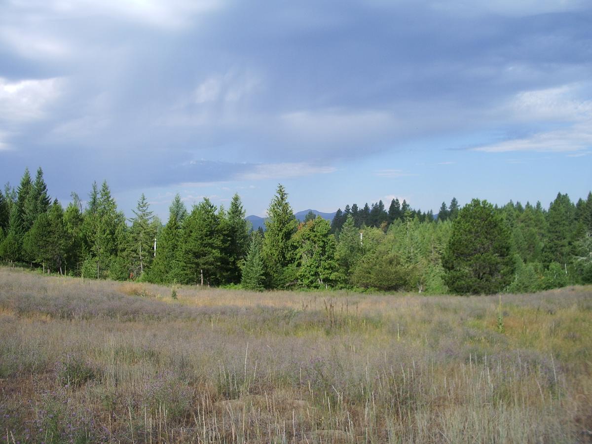 1-Wonderful acreage